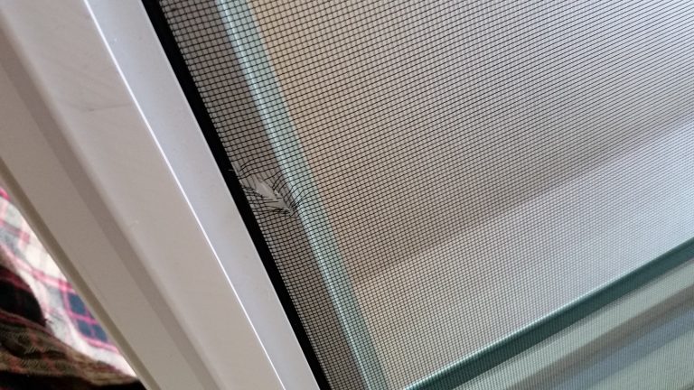 window rescreen